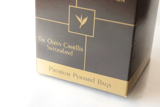 Pyramid-Bags Früchtetraum