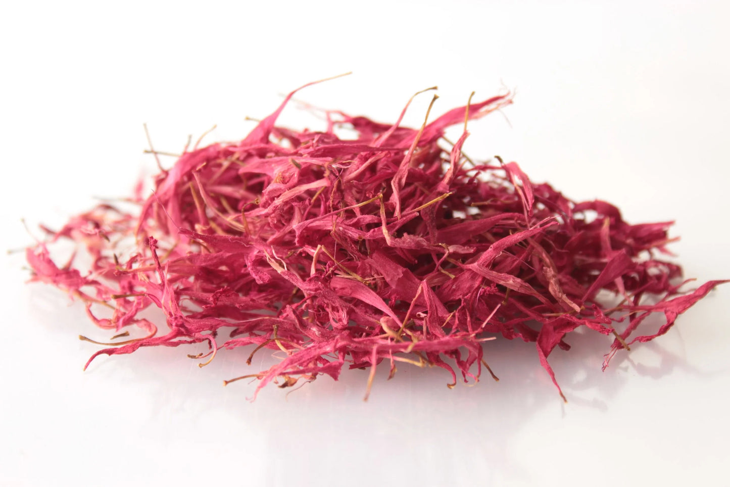 Goldmelisse Bio