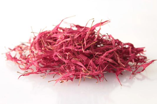 Goldmelisse Bio
