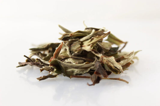 Pai Mu Tan Bio