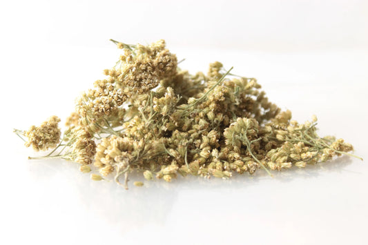 Schafgarbe Bio