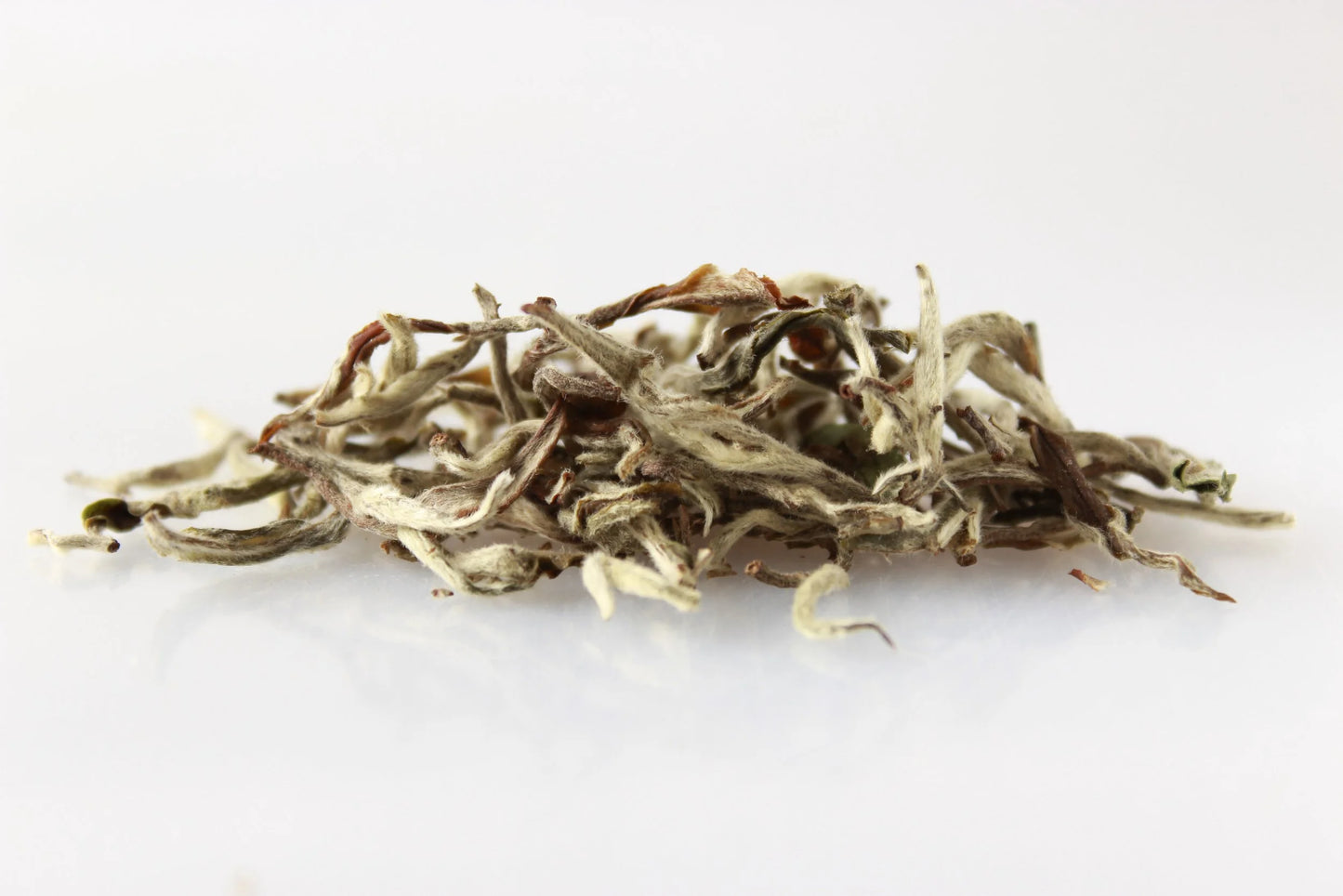 Shangrila Bio