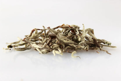 Shangrila Bio