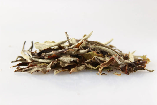 Snow Buds Bio