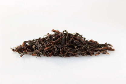 Steinthal SF Bio