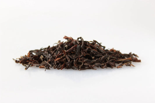 Steinthal SF Bio