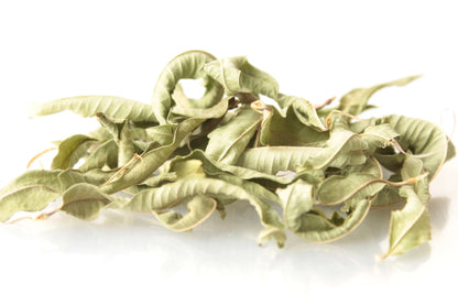 Pyramid-Bags Verveine Bio